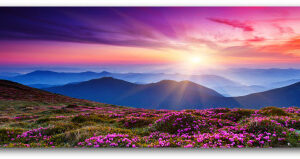 Panoramic 80×30 cm (32×12”) picture on glass